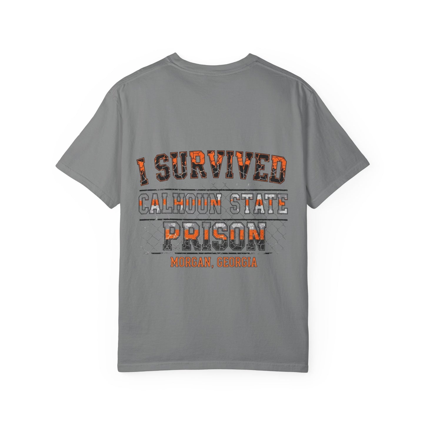 I Survived Calhoun State Prison in Morgan, Georgia