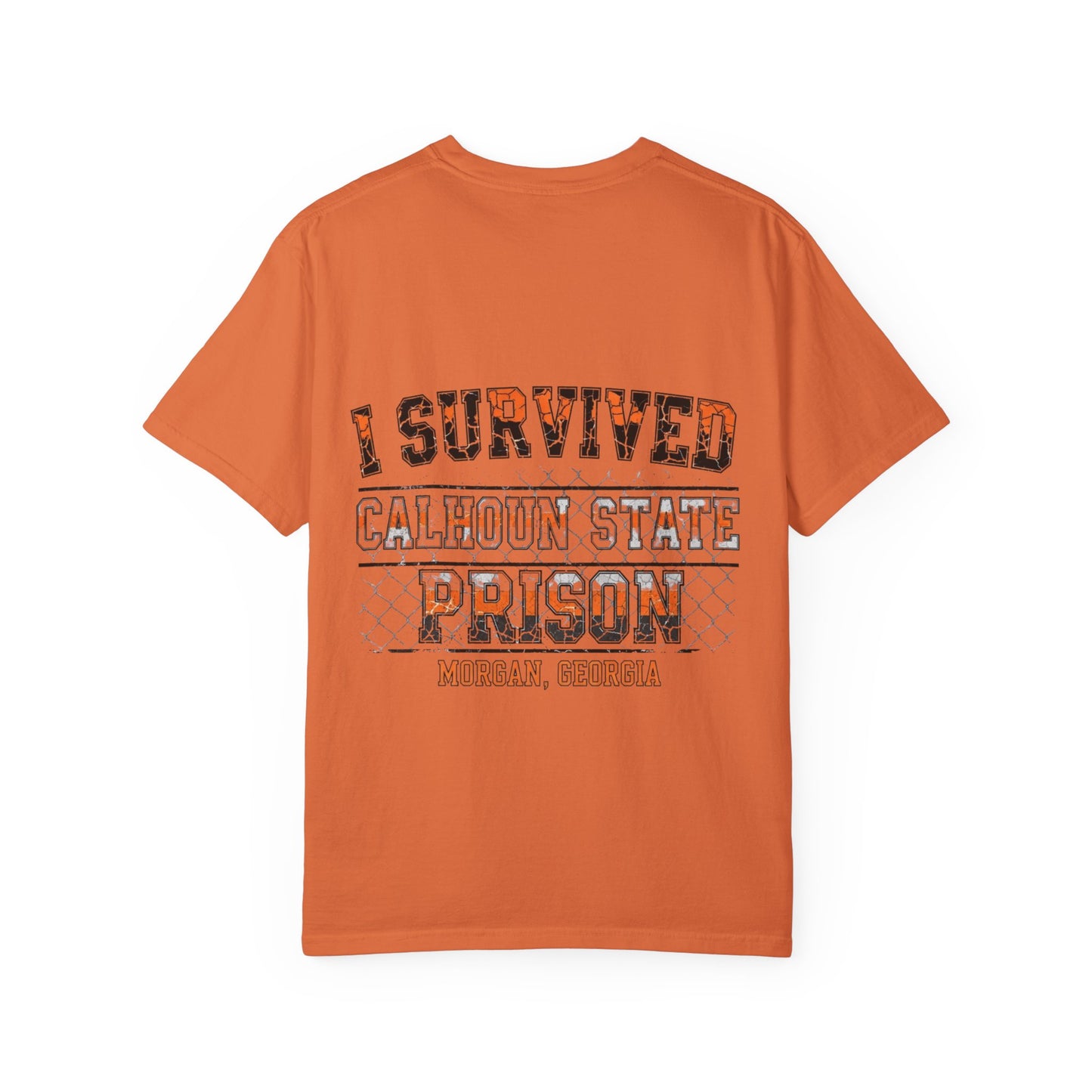 I Survived Calhoun State Prison in Morgan, Georgia