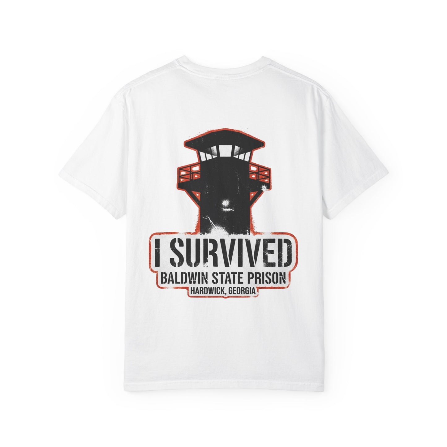 I Survived Baldwin Prison in Hardwick, Georgia