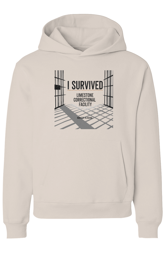 Unisex Heavyweight Hoodie