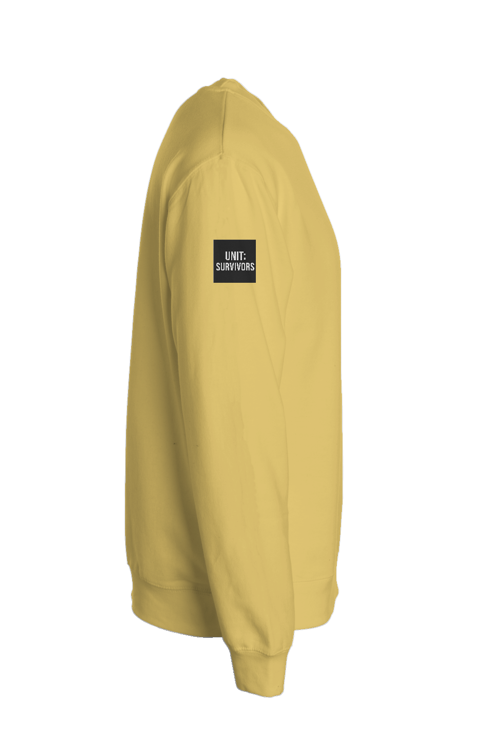 Independent Pigment Dyed Crew Neck