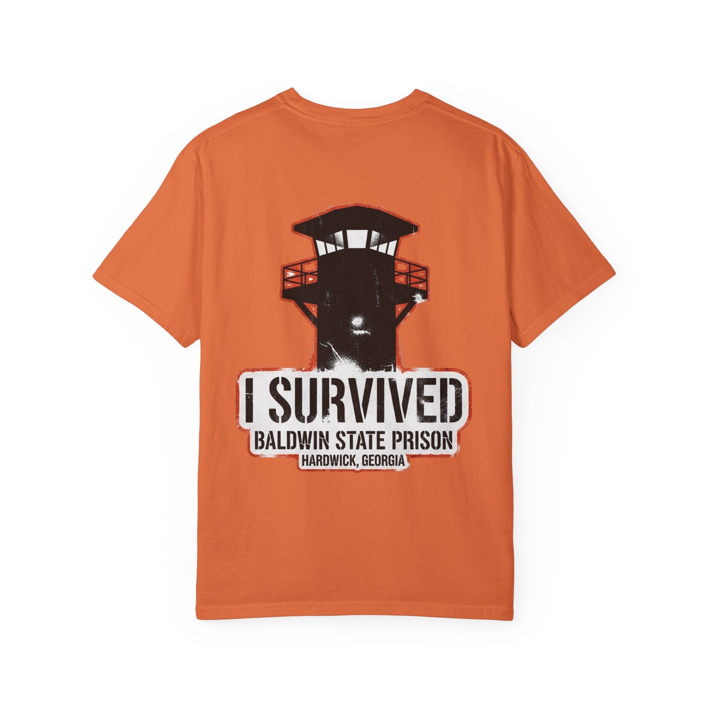 I Survived Baldwin Prison in Hardwick, Georgia