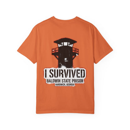 I Survived Baldwin Prison in Hardwick, Georgia