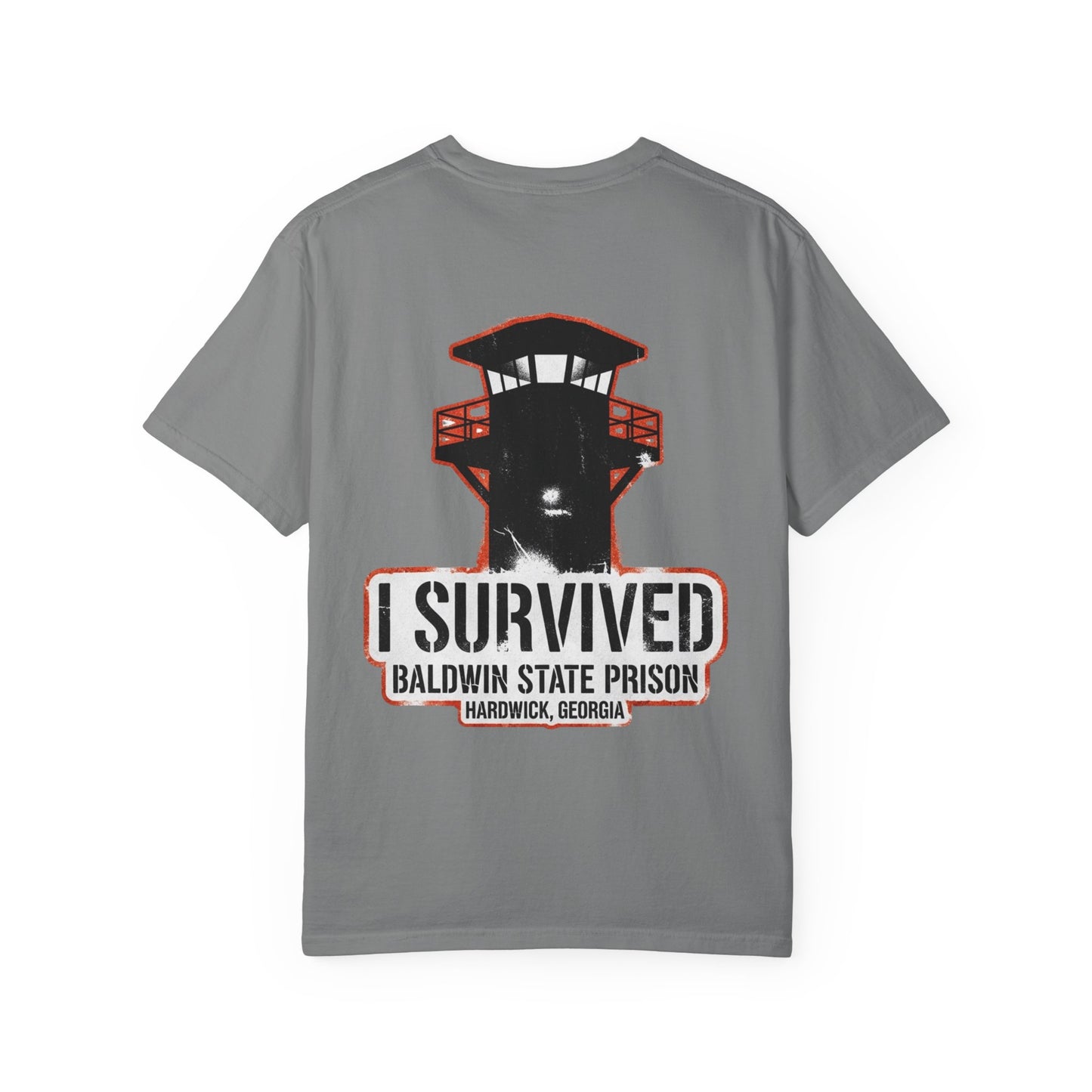 I Survived Baldwin Prison in Hardwick, Georgia