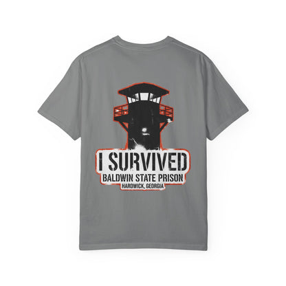 I Survived Baldwin Prison in Hardwick, Georgia